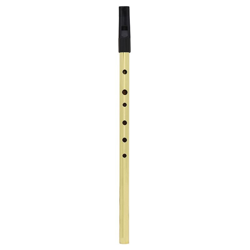 Irlandzki gwizdek irlandia flet gwizdek cyny gwizdek klucz D grosz gwizdek 6 otworów flet pieśniarz mini kieszeń instrument muzyczny złoty: Default Title