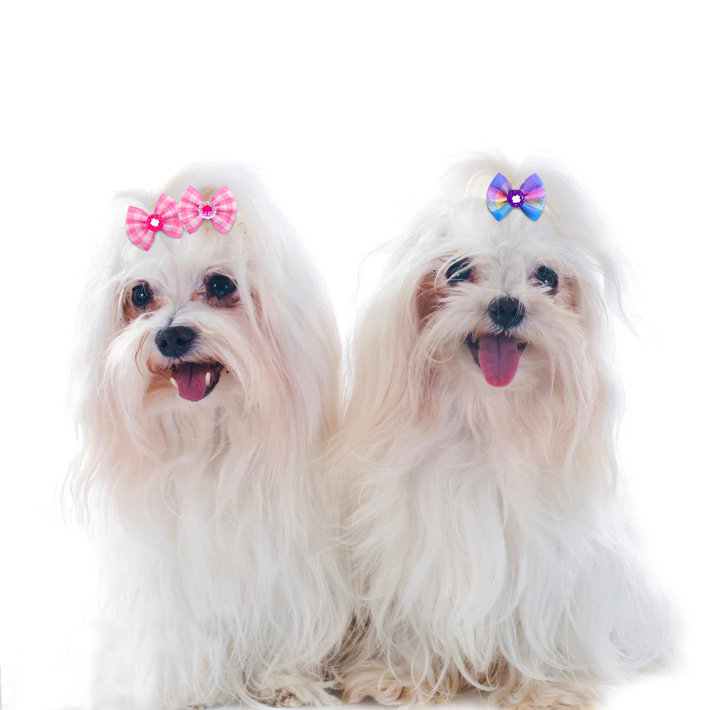 Mini lazos para el pelo hechos a mano para perro, accesorios de aseo bonitos, pinzas para el pelo de gato Kawaii, bandas de goma para el pelo diario para perro, proveedor de mascotas, 50 Uds.
