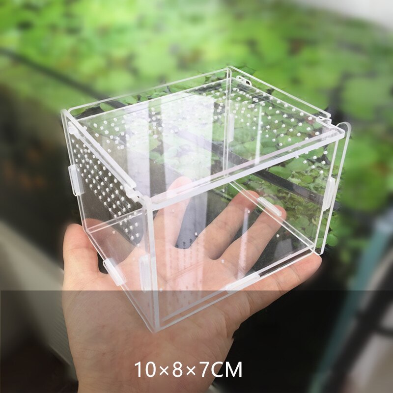 Acryl Reptiel Fokkerij Doos Transparant Spider Hagedis Schorpioen Enti &#39;S Acryl Gemonteerd Insect Ademend Terrarium: 10x8x7cm