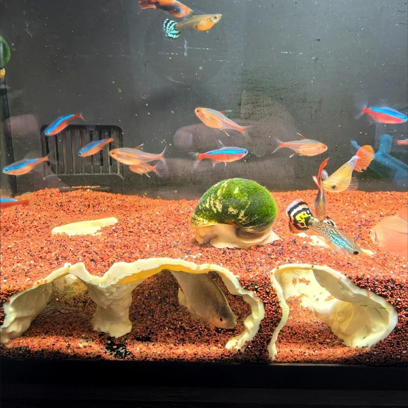 Aquarium Onderwater Paleis Schuilplaats voor Vis Garnalen Reptielen Onderdak, Landschapsarchitectuur Ornamenten 3D Geprinte Aquarium Decoraties