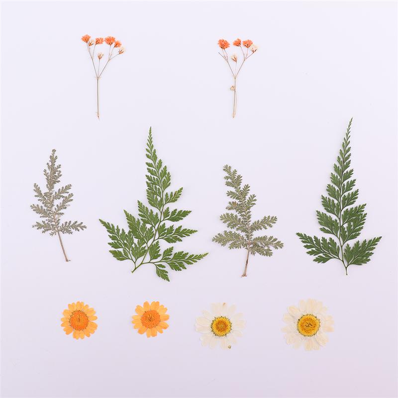 2 Sheets/Total 20pcs DIY Pressed Flowers Sticker Dried Leaf Flowers Plants Patches for Crafts Making (Orange and Yellow)