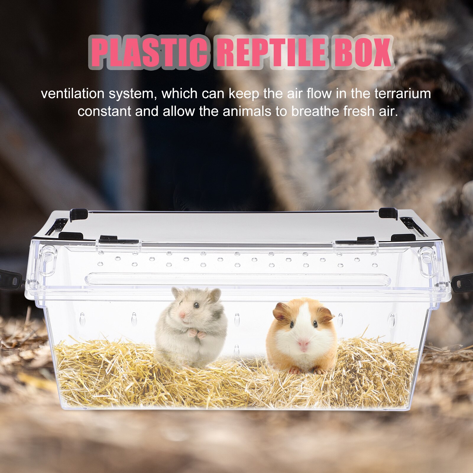 1pc Reptile Feeding Box Practical Snake Hatching Container Lizard Display Box