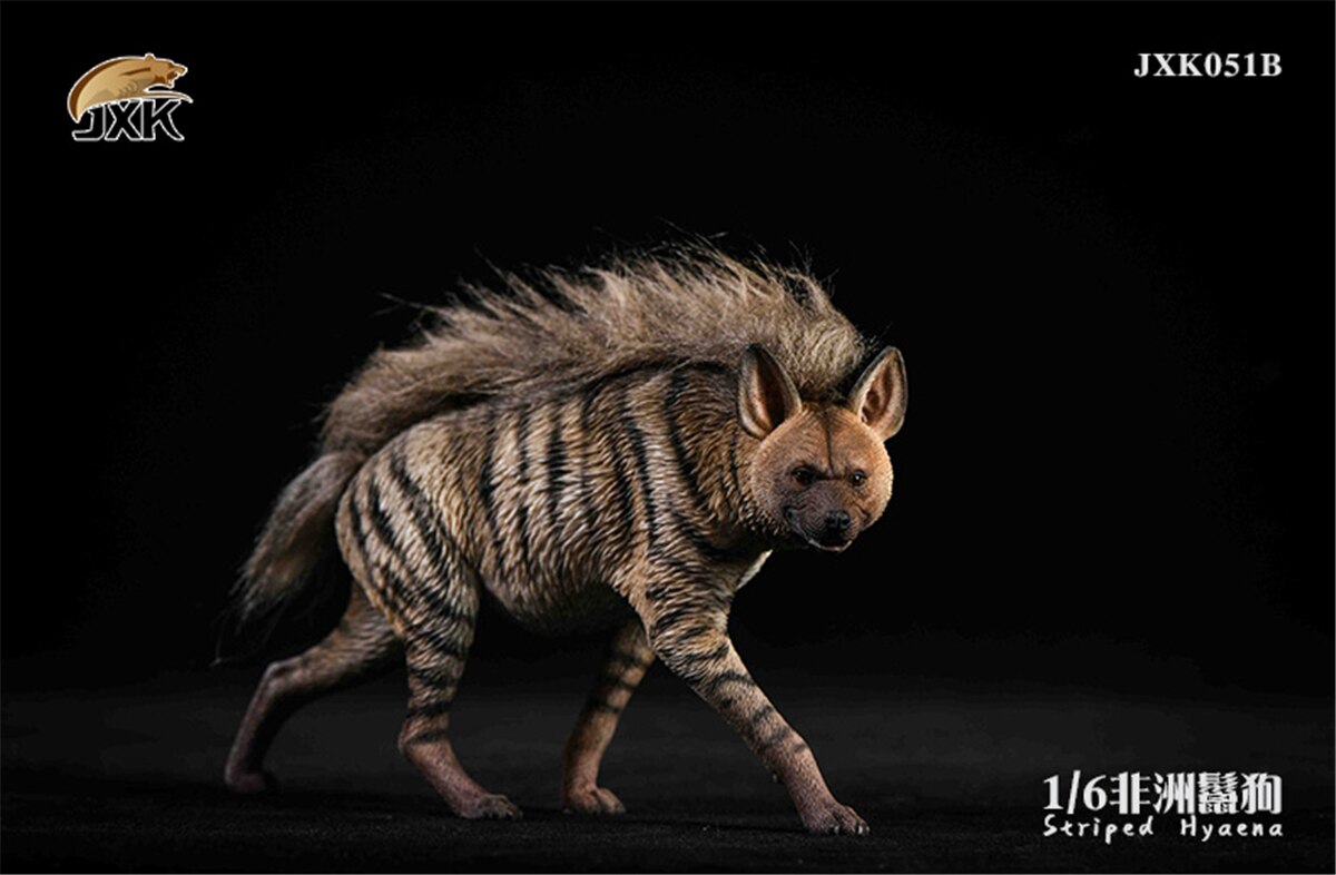 JXK 1:6 Scale Africa Striped Hyaena Figure Dog Hyaenidae Animal Collector Toy Resin Decoration: JXK051B