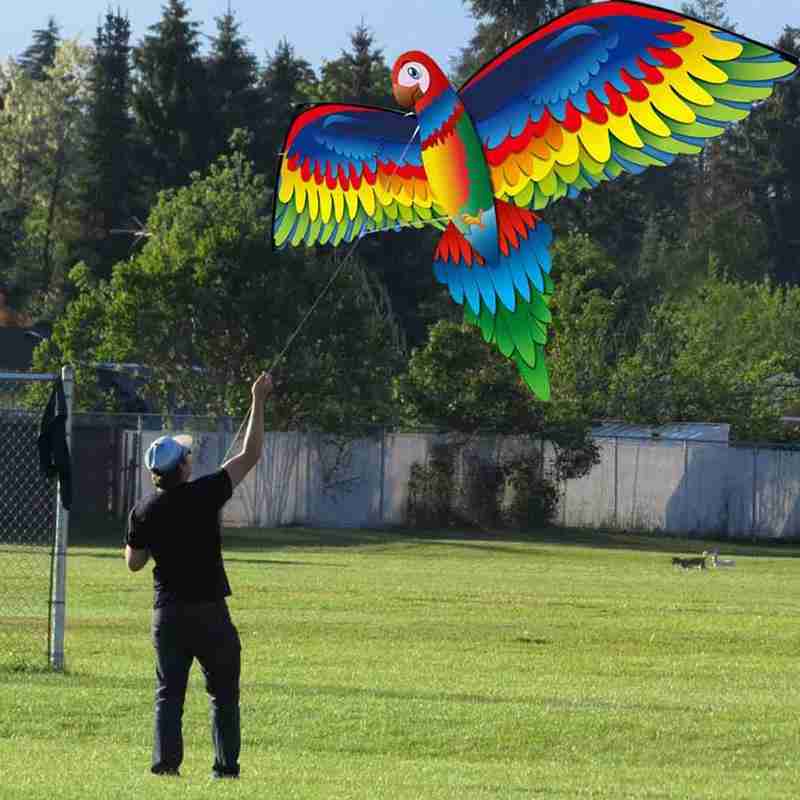 Kite Animal Kite 3D Parrot kite 3D Parrot kite