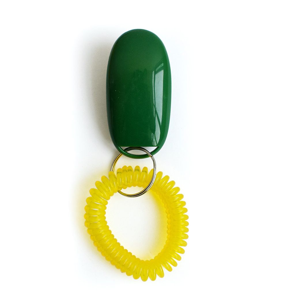 Mini Clicker pour chien de , jouets d'entraînement pour animaux de compagnie, accessoires d'obéissance, son avec dragonne: green