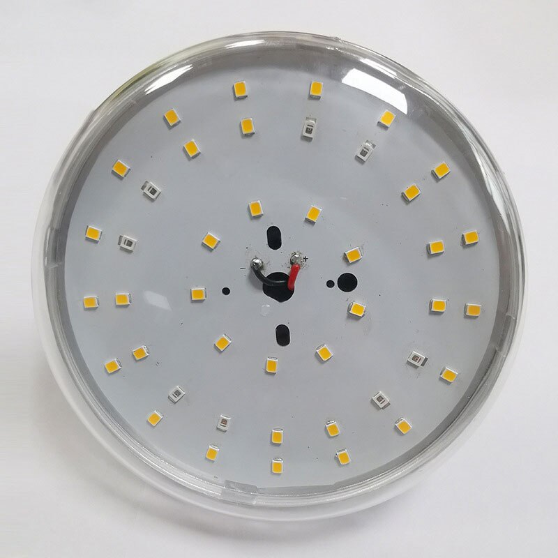 Dragon fruit fill light plant light plant growth light plant fill light