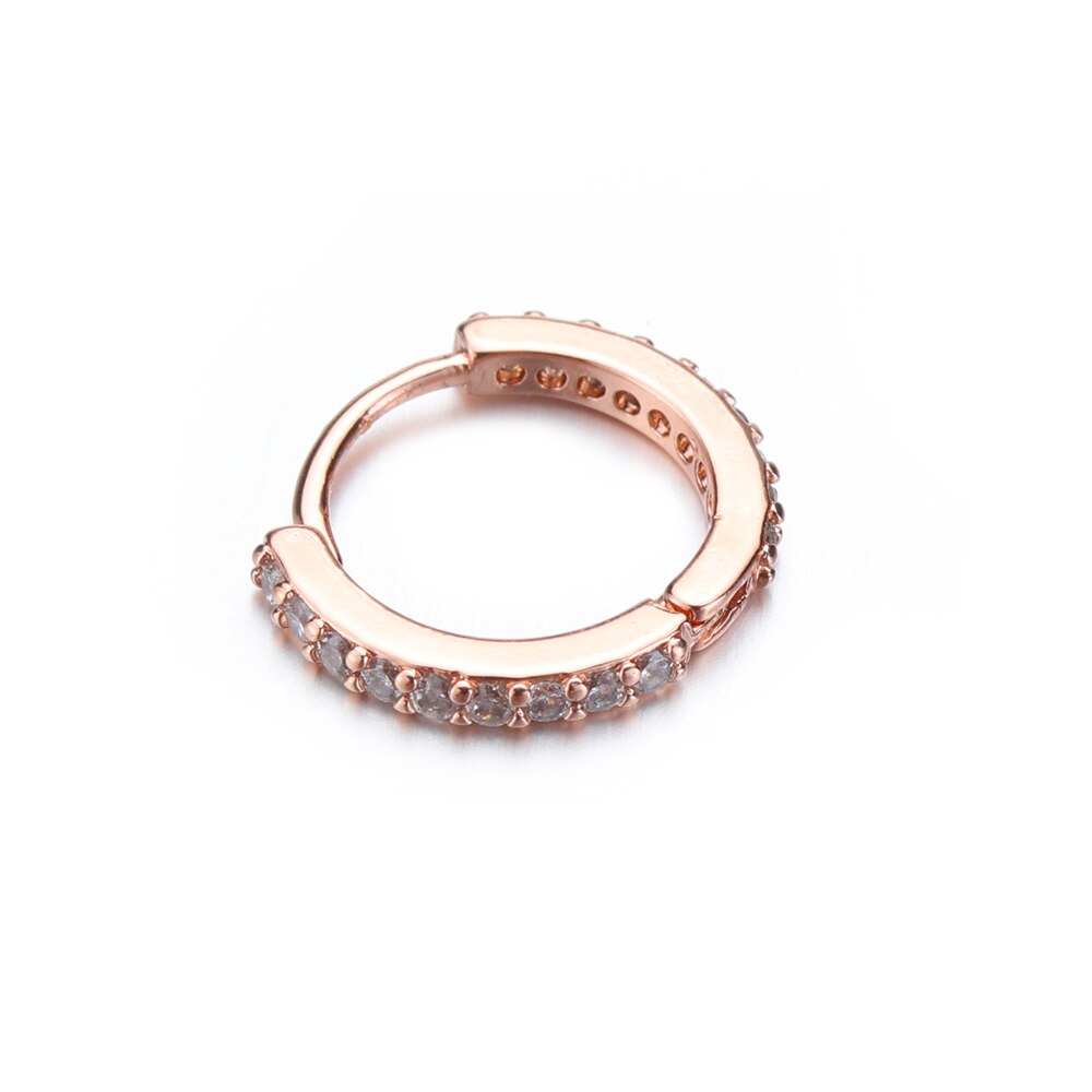 1PC 1pc 6/8/10mm Cz Huggie Hoop Cartilage Earring Helix Tragus Ear Piercing Jewelry Punk Rook Body Jewelry: Rose gold / 10mm