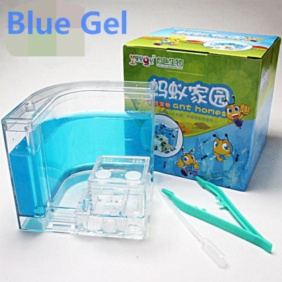 LED Ant Farm Home Ecological Insect Ecology Box Science Educational for Children Ants Pet Toys Reptile 6 Colors Ant Nest: blue