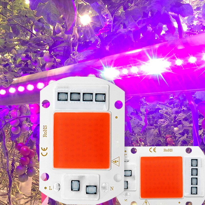 Seedling Grow Lamp Growth LED For Indoor Ccessories Flower Full Spectrum COB Smart 1PC Light Plant DIY Chip Phyto Lamp