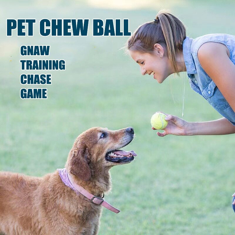 Mini pelota hinchable para perros y gatos, juguete de entrenamiento para mascotas, productos para mascotas
