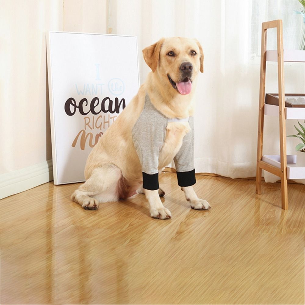 Práctico y transpirable funda de recuperación para perros, coderas suaves ajustables para cachorros, rodilleras antichar de algodón para pierna delantera de perro