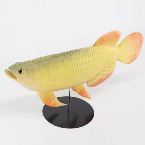 Peces artificiales de imitación para niños, 36 tipos, accesorios educativos para edades tempranas, carpa roja falsa, crisol, alimento para peces