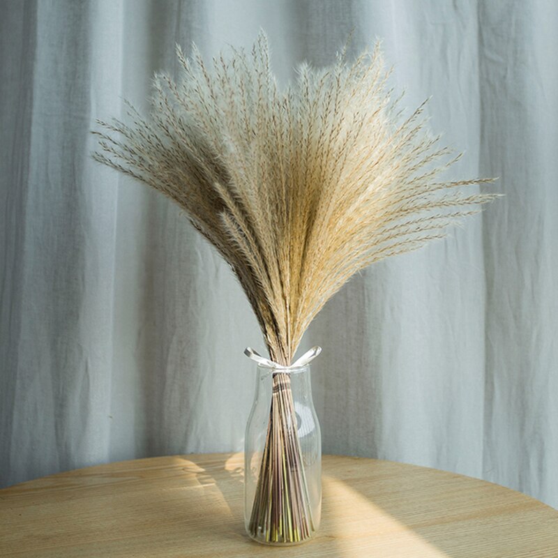 Bronzing vase pampas tørkede blomster kanin hale gress svart hvit reagens flaske vase fabrikk: 50 små pampas