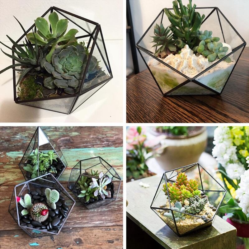 Glas Terrarium Opbergdoos Sieraden Houder, Glas Geometrische Terrarium Tafelblad Vetplant Box Planter Houder Case