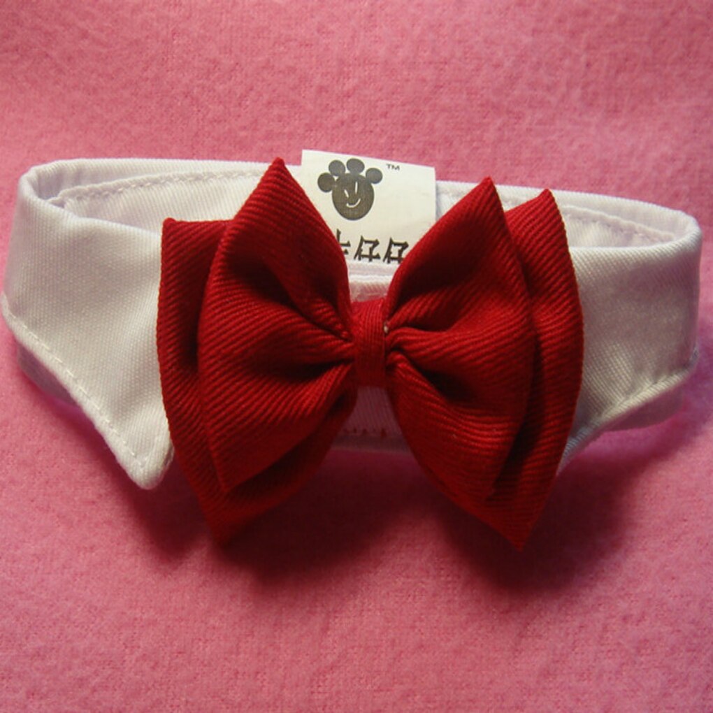 Vit röd hund valp katt bowknot fluga slips kläder för liten hund