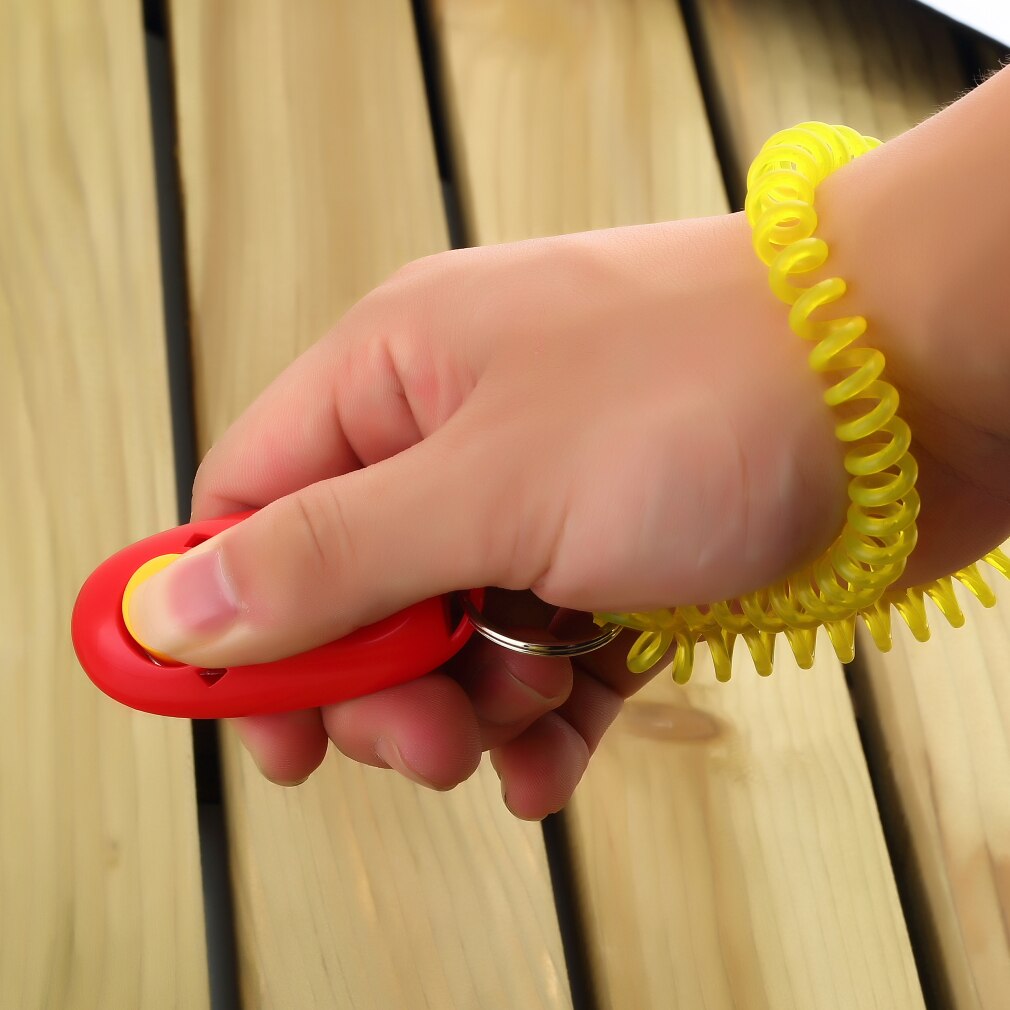 Kæledyrstræner hund undervisning lydighed agility træner hjælp håndledsrem stor fagility kæledyrsforsyning