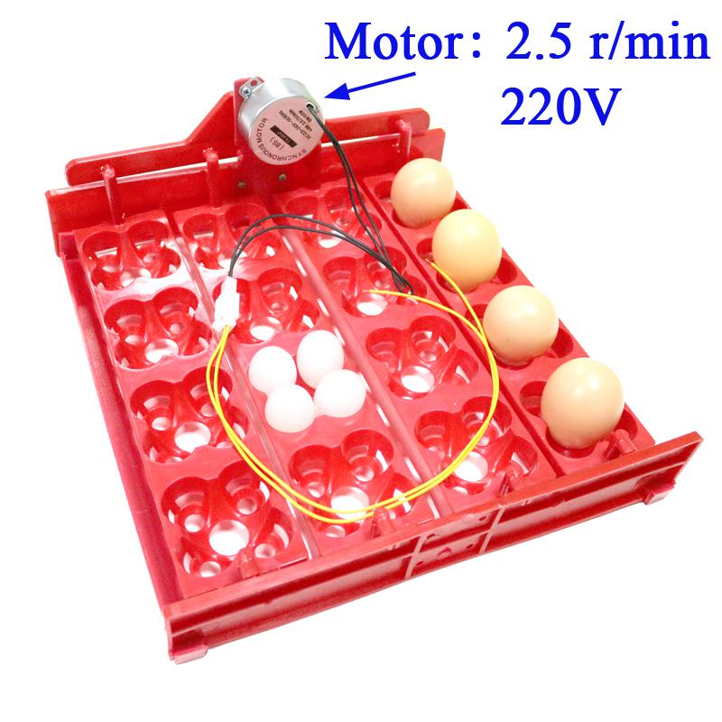Incubadora automática de huevos de gallina, 16 huevos/64 pájaros, palomas y otras aves, equipo de incubación con Motor: 220V