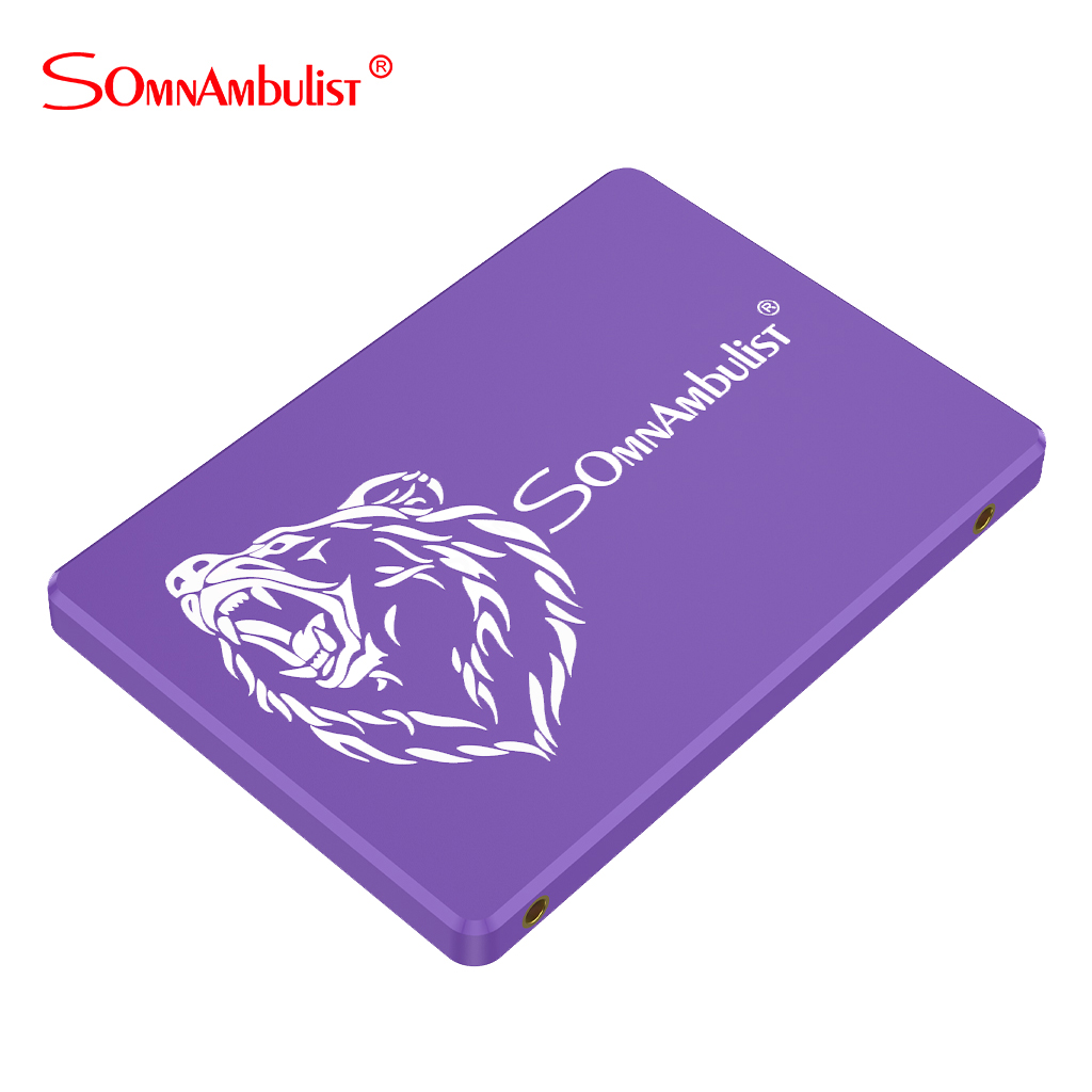 Paars Ssd Sata Interne Solid State Drive, Interne Apparatuur Van Laptops En Desktops, 120Gb, 60Gb, 240Gb, 480Gb, 960Gb 2Tb