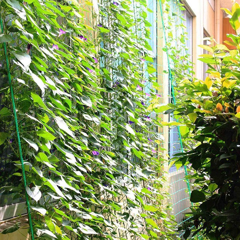 2 pak haveplante espalier plante klatrenet havenet til agurk vin frugter grøntsager tomat klatreplanter