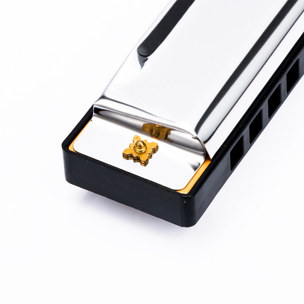 Blues Harmonica 10 Gaten 20 Tone Sleutel Van C Blues Jazz Rock Folk Muziekinstrument Diatonische Harp Roestvrij Staal Met case