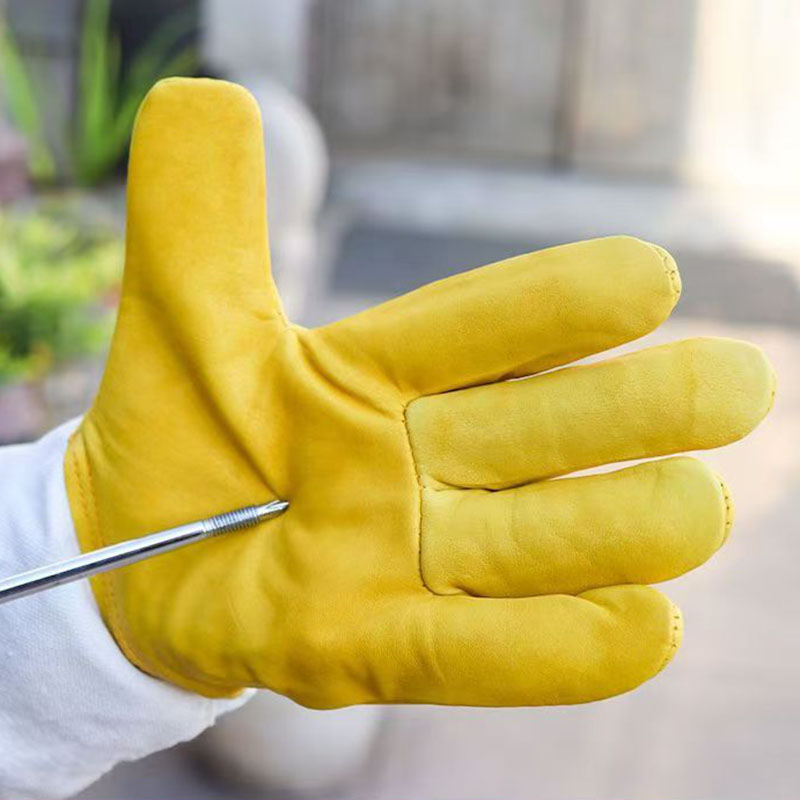1 paio di guanti morbidi per apicoltore con pollice dritto per apicoltura, guanti per tenere le api in pelle di capra con maniche lunghe ventilate