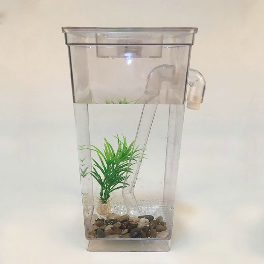 Desktop Ecological Fish Tank Grass Mini Home Decor Aquarium Self-cleaning Fun Kit Aquatic Pet Supplies Goldfish Tank