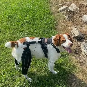 Dog Acl Knee Brace for Torn Acl Leg,Dog Knee Braces for Back Leg Warm Joint and Relieves Joint Pain,Better Recovery For Puppy