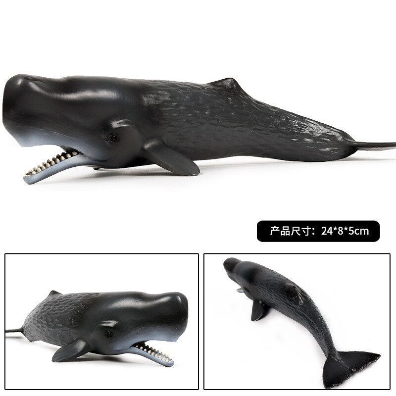 24*8*5CM Children Cognitive Simulation Solid Sperm Whale Marine Life Animal Toy Plastic Static Model