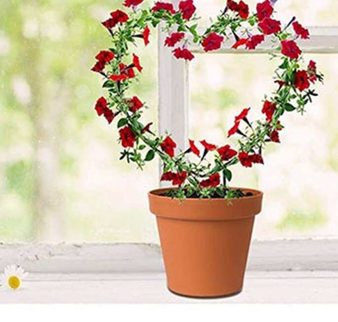 Plant Heart-shaped Bracket Climbing Plant Garden Taid Retro Potted Plant Rustproof Round Поддержка Растений
