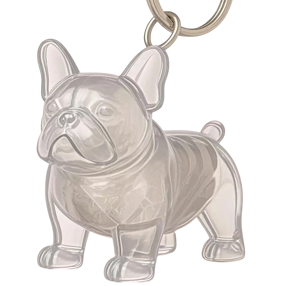 Caja de almacenamiento de pelo de perro, cápsula de recuerdo conmemorativo de pelo de cachorro, contenedor de piel de perro para mascota, llavero de cápsula transparente, recuerdos: Plata