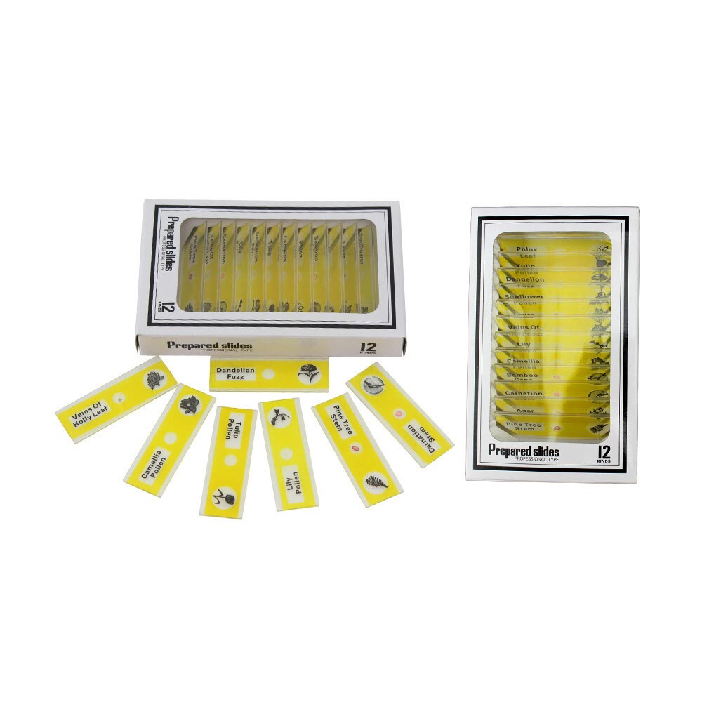 Biologie Onderwijs Apparatuur Kinderen Hoge Permeabiliteit Plastic Specimen Microscoop Met 12 Bloem Plakjes: Rood
