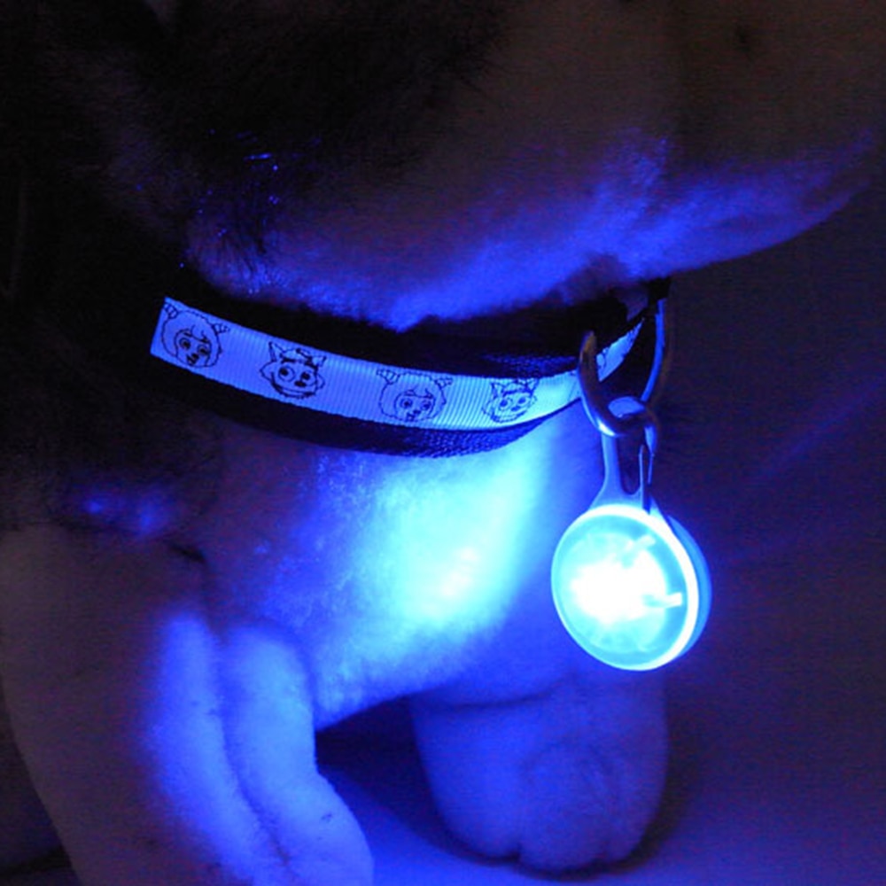 Collar COLGANTE para mascotas, luz LED de noche, linterna luminosa de seguridad, Collar de luces para mascotas, colgante de bola de iluminación