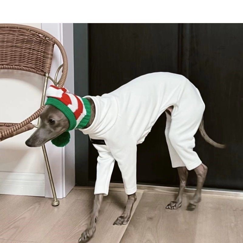 Fahison Whippet lévrier italien vêtements de luxe coton chien Jammies hiver col roulé Stretch vêtements pour animaux de compagnie