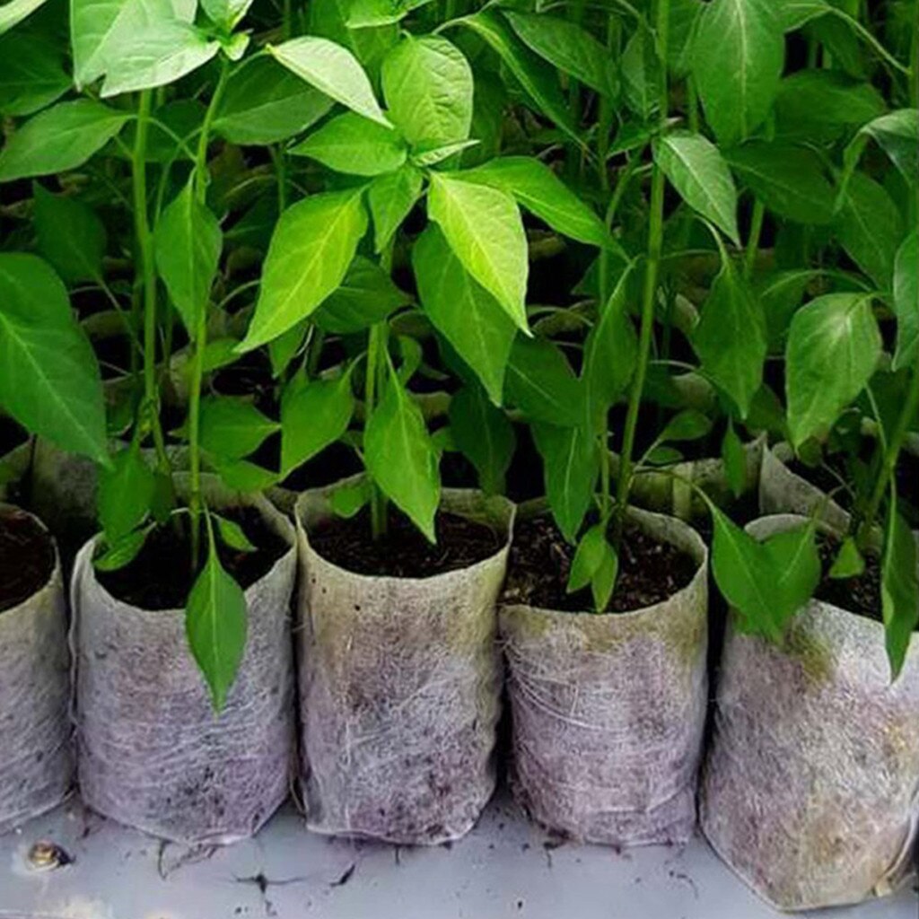 500 stk børnehaver frøplanteposer ikke-vævede stoffer haveforsyning 8 x 10cm blomsterkimplante maceteros plasticos para plantas #30