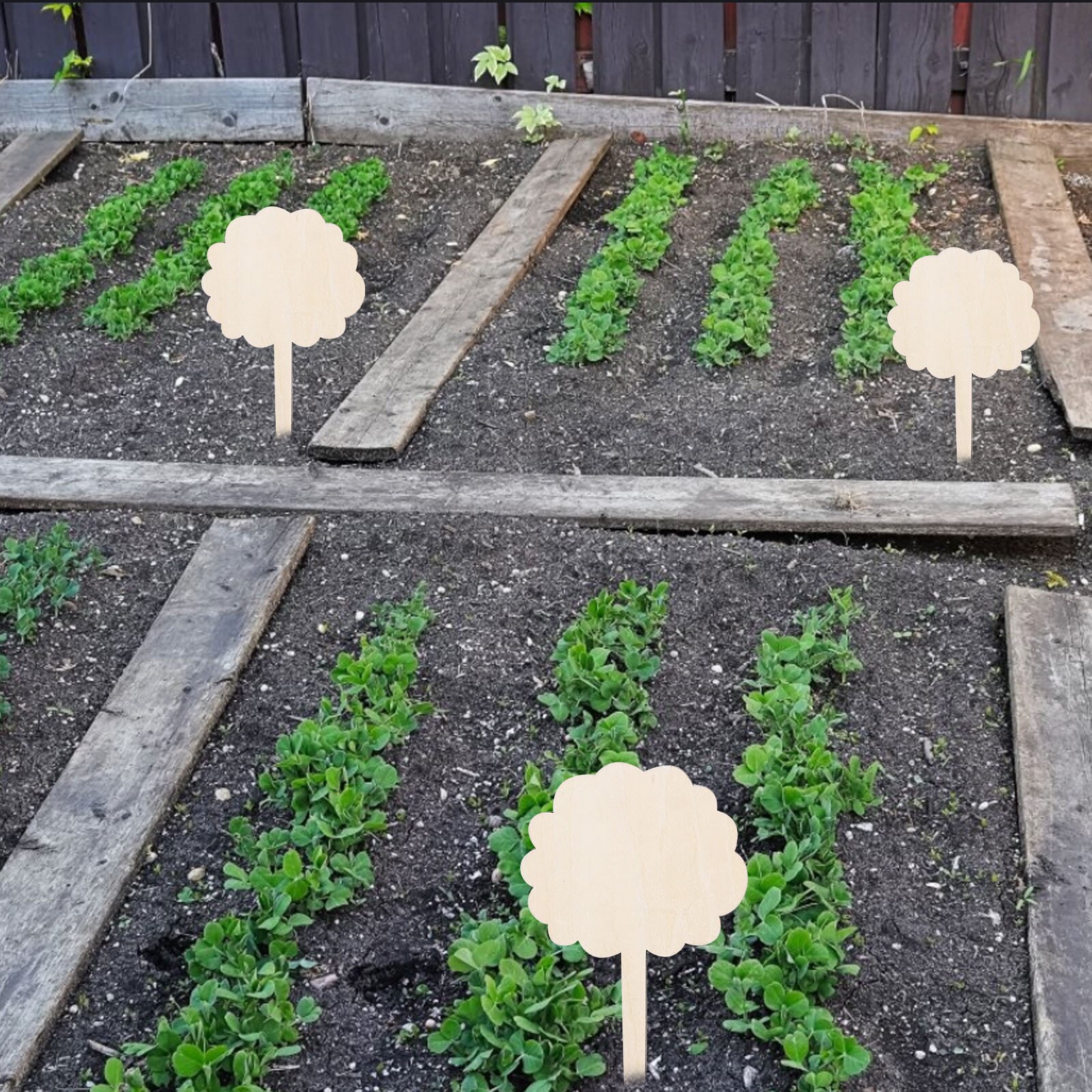 Letreros con etiquetas para plantas, etiquetas creativas de madera para jardinería, tipo T, decoración creativa de flores para jardín y guardería, bandeja para semillas, 10 Uds.