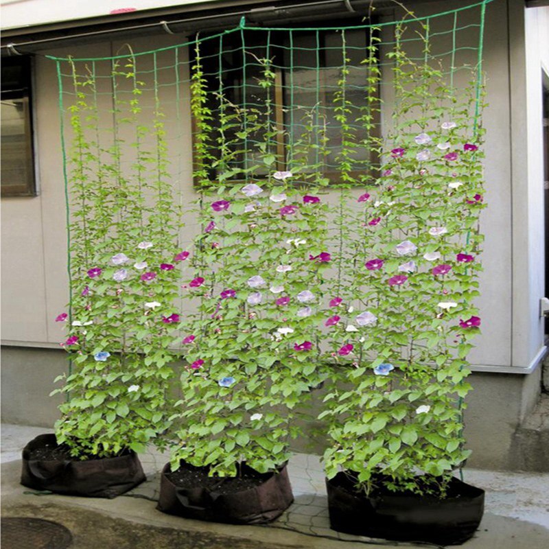 1pc Plastic Nylon Garden Netting Morning Glory Flower Vine Climbing Net Cucumber Plants Landing Net Frame Plants Grow Supports