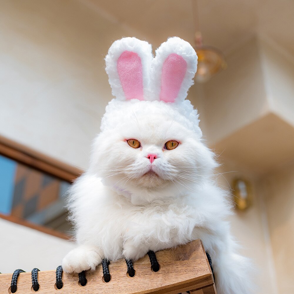 niedlich Kostüm Hase Hase Hut mit Ohren Katzen&Ampere;klein Hund Party Kostüm Ostern Zubehörteil Headwear Party Kleid,fotografisch Requisiten