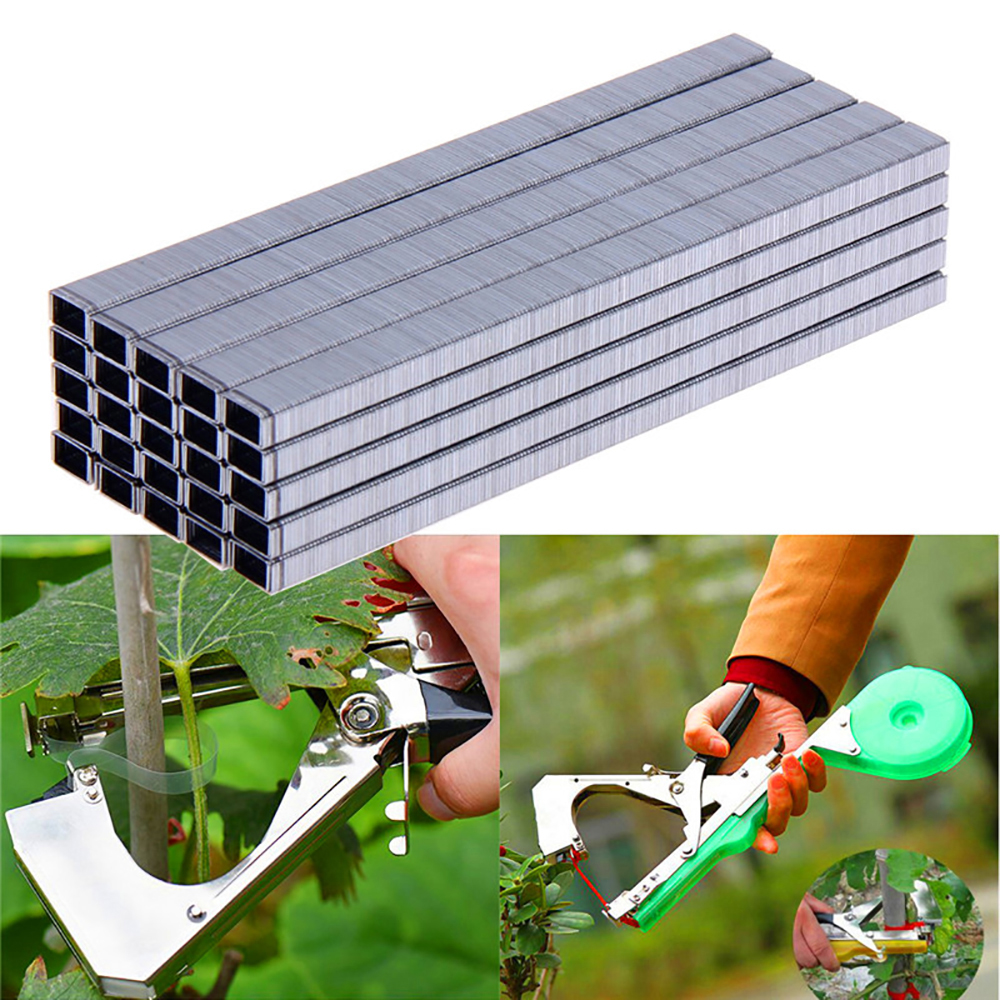 Ruban adhésif de jardin en PE, 10 pièces, outils pour attacher les plantes, les branches, les arbres, les légumes et les fruits