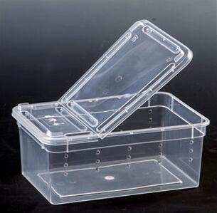 Reptil Gecko Eidechse Tarantel Schildkröte transparent Stapelbar Züchter Kasten Transport Kasten Winterschlaf Kasten ungiftig robust Langlebig: klein Weiß