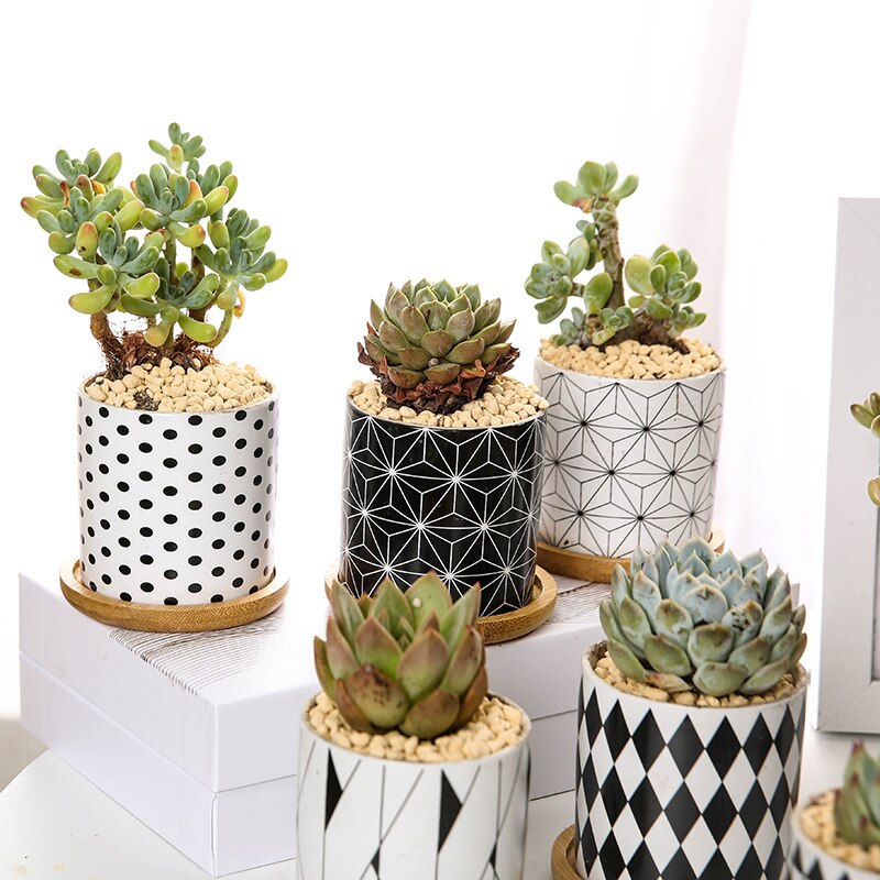 Nordic Geometric Pattern Ceramic Succulent Pot Straight Simple Black and White Home Decoration Succulent Small Potted Plant