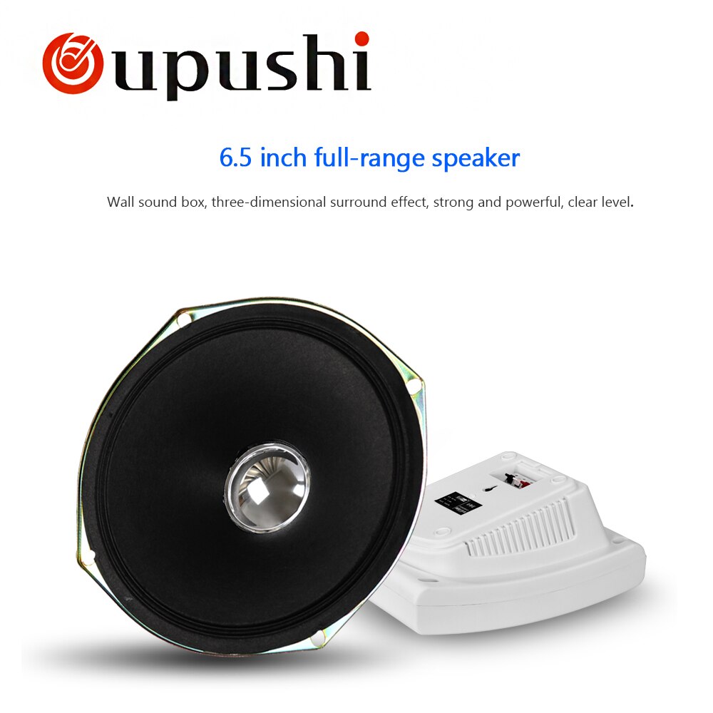 Review Cheap Mini Wall Mounted Speaker With Amplifier