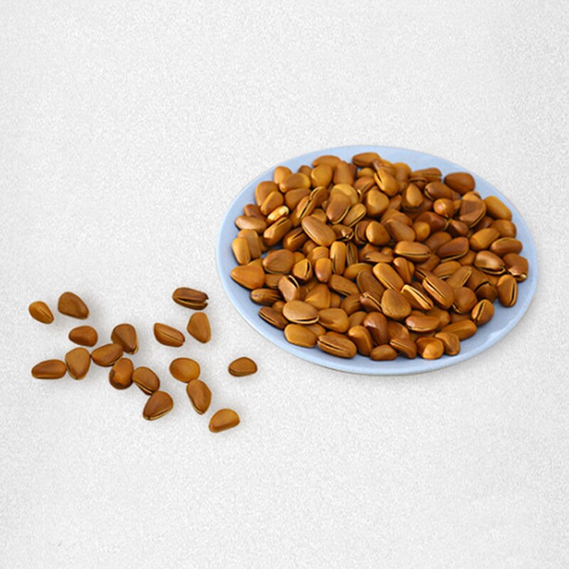 Wheat Straw Plate Snack Plate Round Dish Snacks Melon Seeds Plate Dessert Decoration Dish Dinnerware