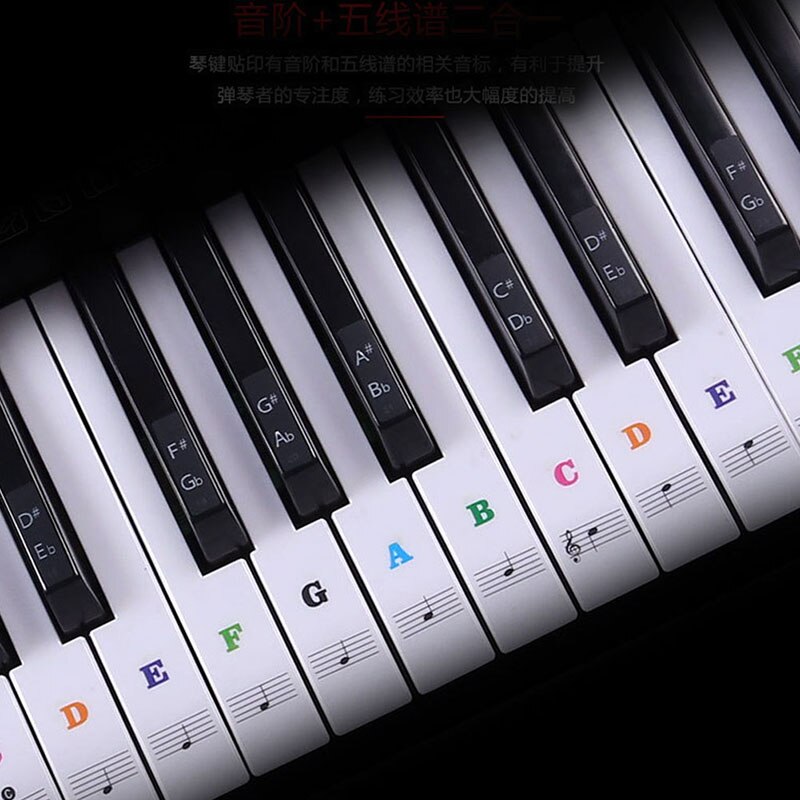 Transparent detachable music decal notes piano keyboard stickers 54/61 or 88-key electronic piano spectrum sticker symbol