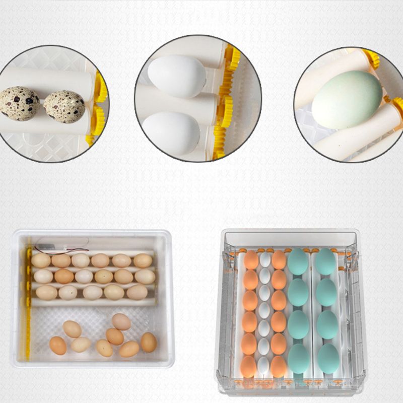 220V 16 Eggs Incubator Brooder Bird Quail Chick Hatchery Incubator Poultry Hatcher Turner Automatic Farm Incubation Tools EU