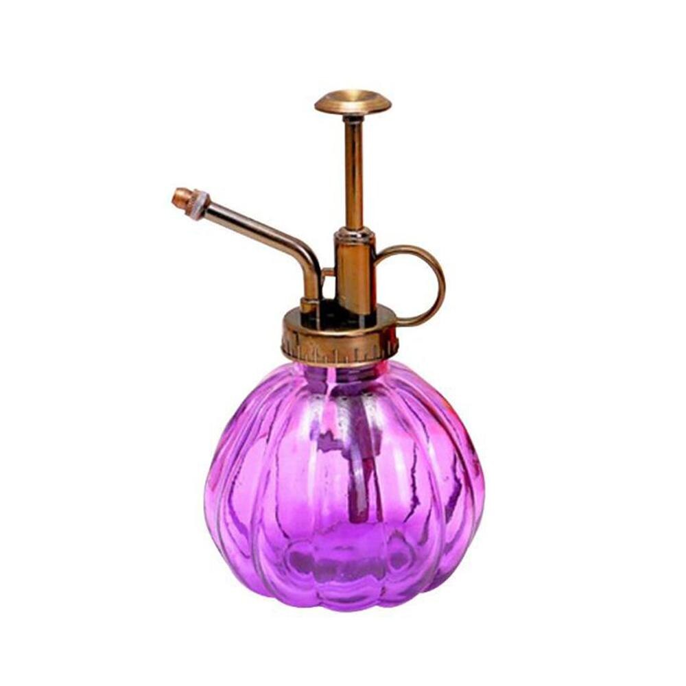 Retro glazen spuitfles, planten, bloemen, waterkan, tuinsproeier, pomp, mist, gieter, pot: Paarse pompoen