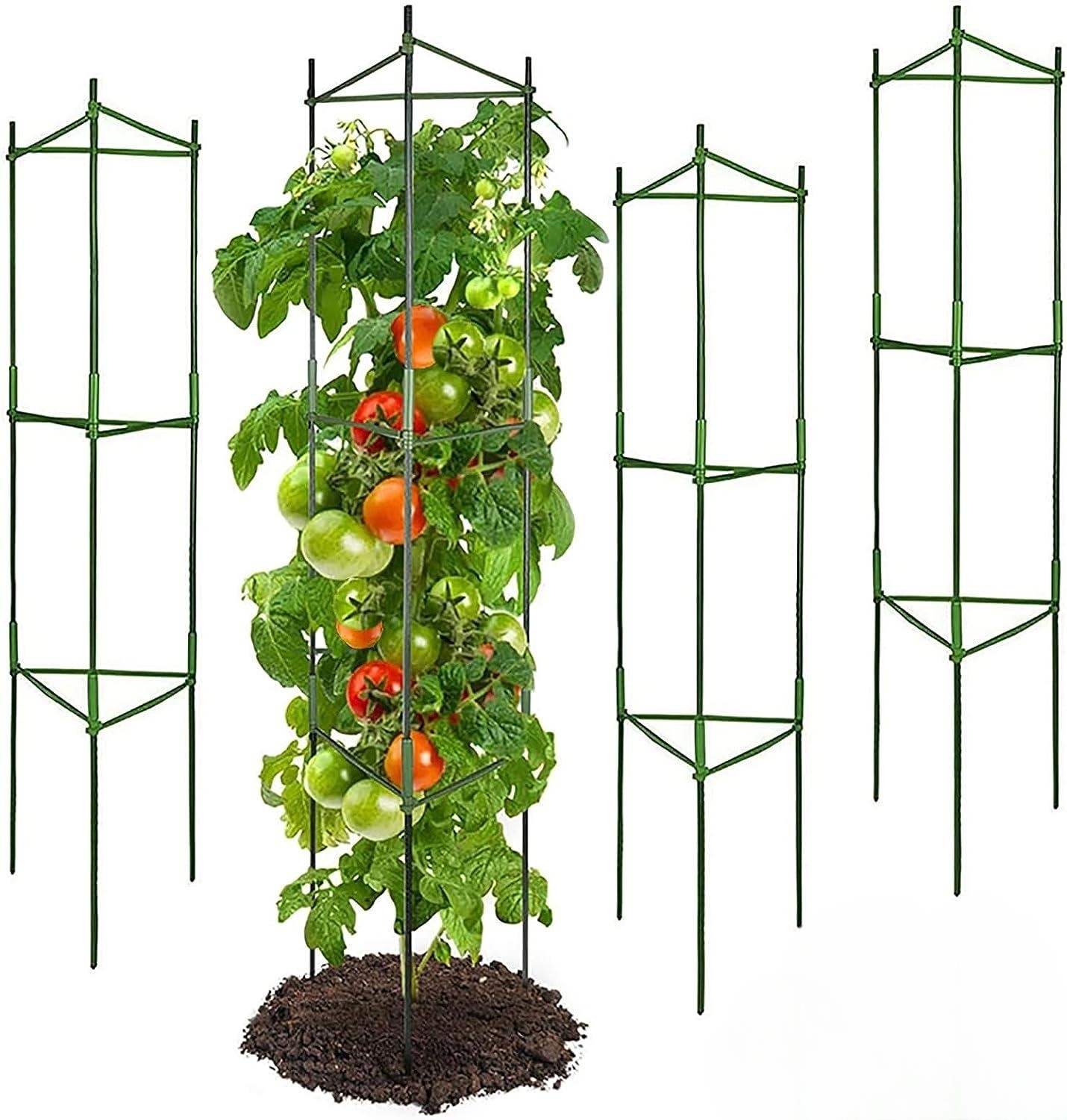 Tomatenkooi, Tot 51 Inch Plantenpalen Groenteroosters Samengesteld Voor Tuinklimplanten Groenten Bloemen