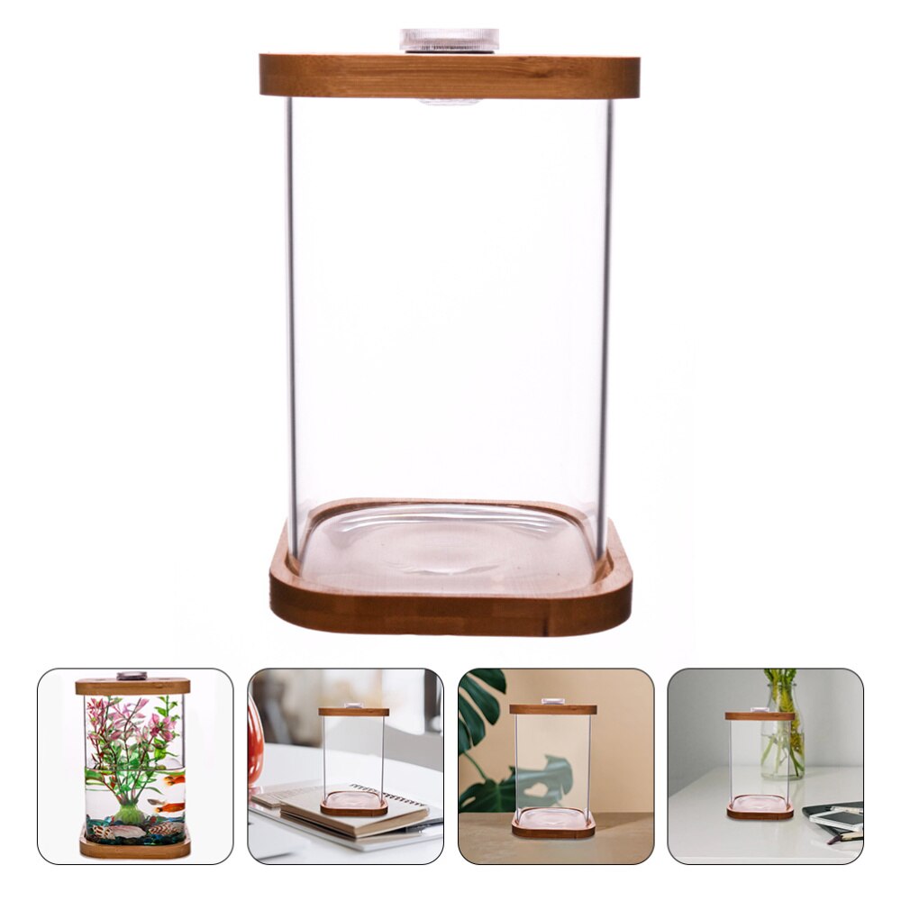 Mini Aquarium carré en verre, 1 pièce, Base en bambou: Default Title