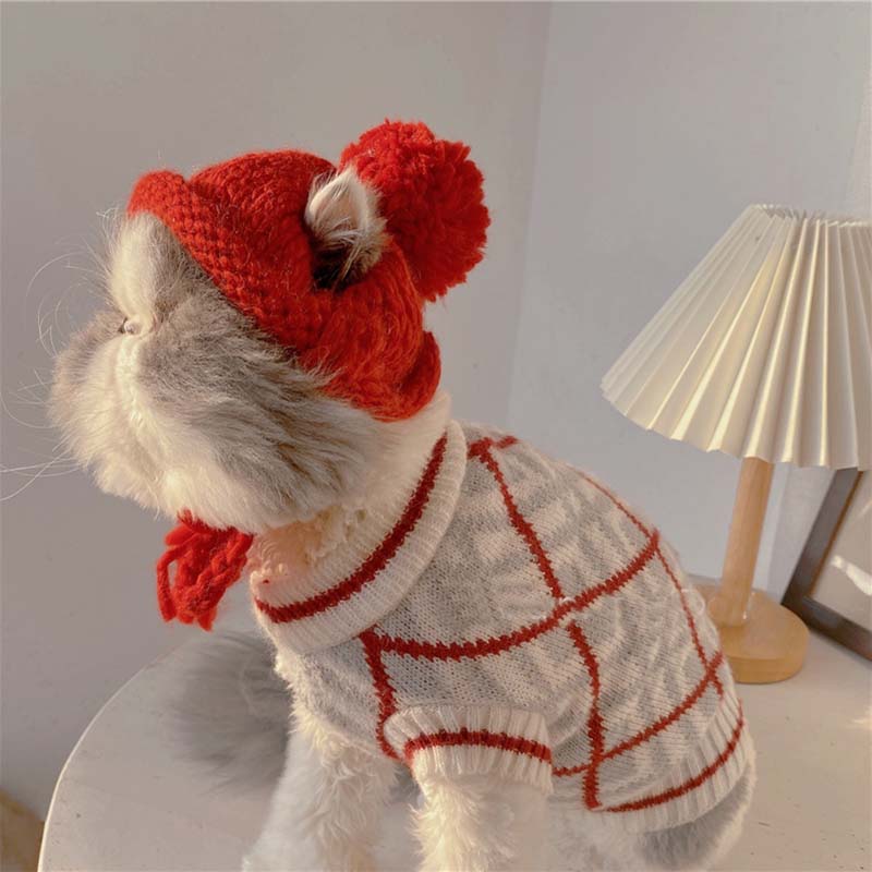 Ins Effen Kleur Pet Gebreide Muts Schattige Haarbal Warm Hond Hoed Hoofddeksel Kat En Hond Accessoires Bichon Teddy Houden warm Puppy Hoed