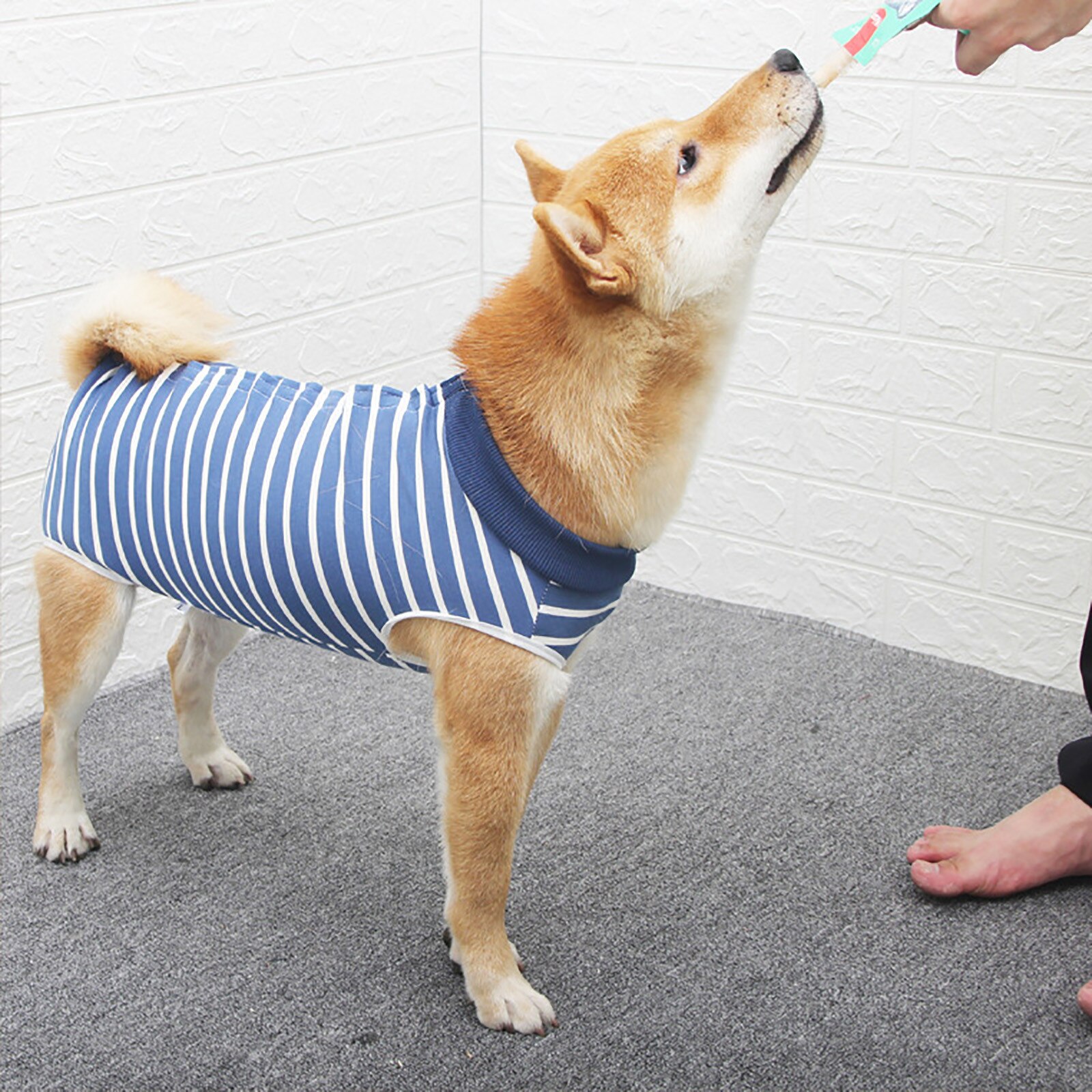 Mamelucos para perro, traje de camuflaje para el destete de mascotas, traje de recuperación después del destete, transpirable, cuatro pies, ropa suave para el cuidado del perro