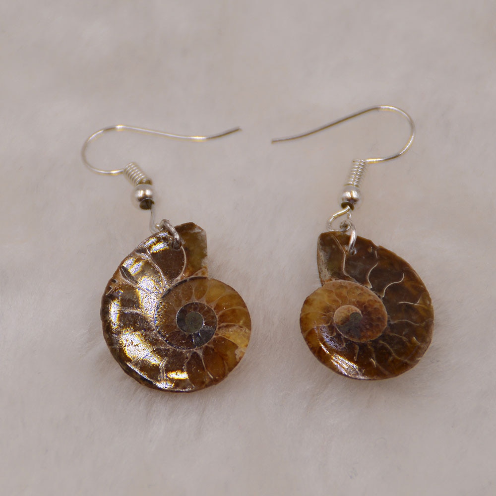 Natuurlijke Slak Ammoniet Spiraal Whorl Schelp Fossielen Kleur Dier Hanger Dangle Earrin Haak